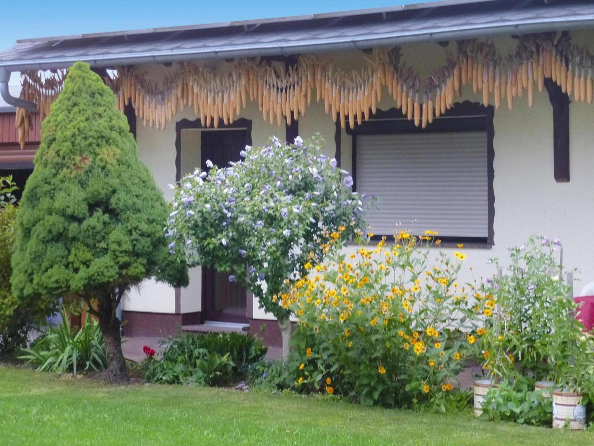 Bungalow In L Bben With A Terrace Lübben Eksteriør bilde
